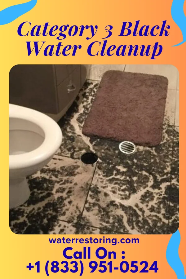 Category 3 Black Water Cleanup in Kenmore, WA